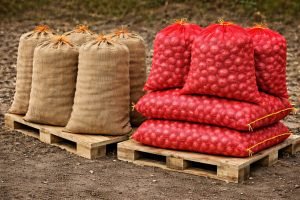 WhatsApp Image 2026-01-12 at 3.46.08 PM (1)