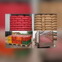 WhatsApp Image 2026-01-13 at 3.56.39 PM (1)